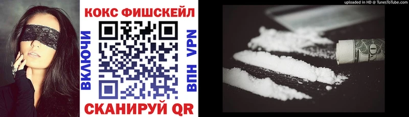 Cocaine Fish Scale  Купить закладки  Кириллов 