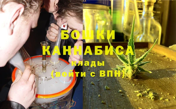 прущие грибы Волосово