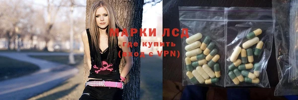 прущие грибы Волосово