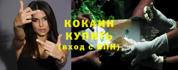 прущие грибы Волосово