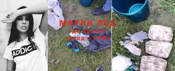прущие грибы Волосово