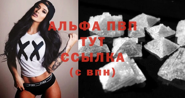 прущие грибы Волосово